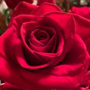 Meet your Posher, Alexa